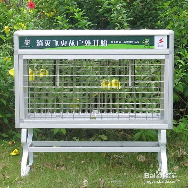 灭蚊蝇
