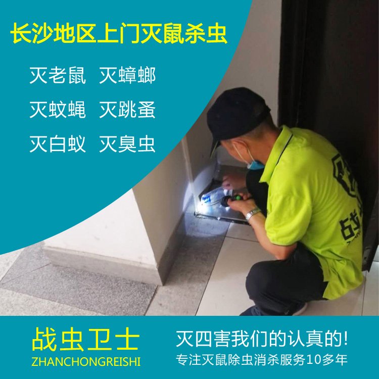 南城灭鼠